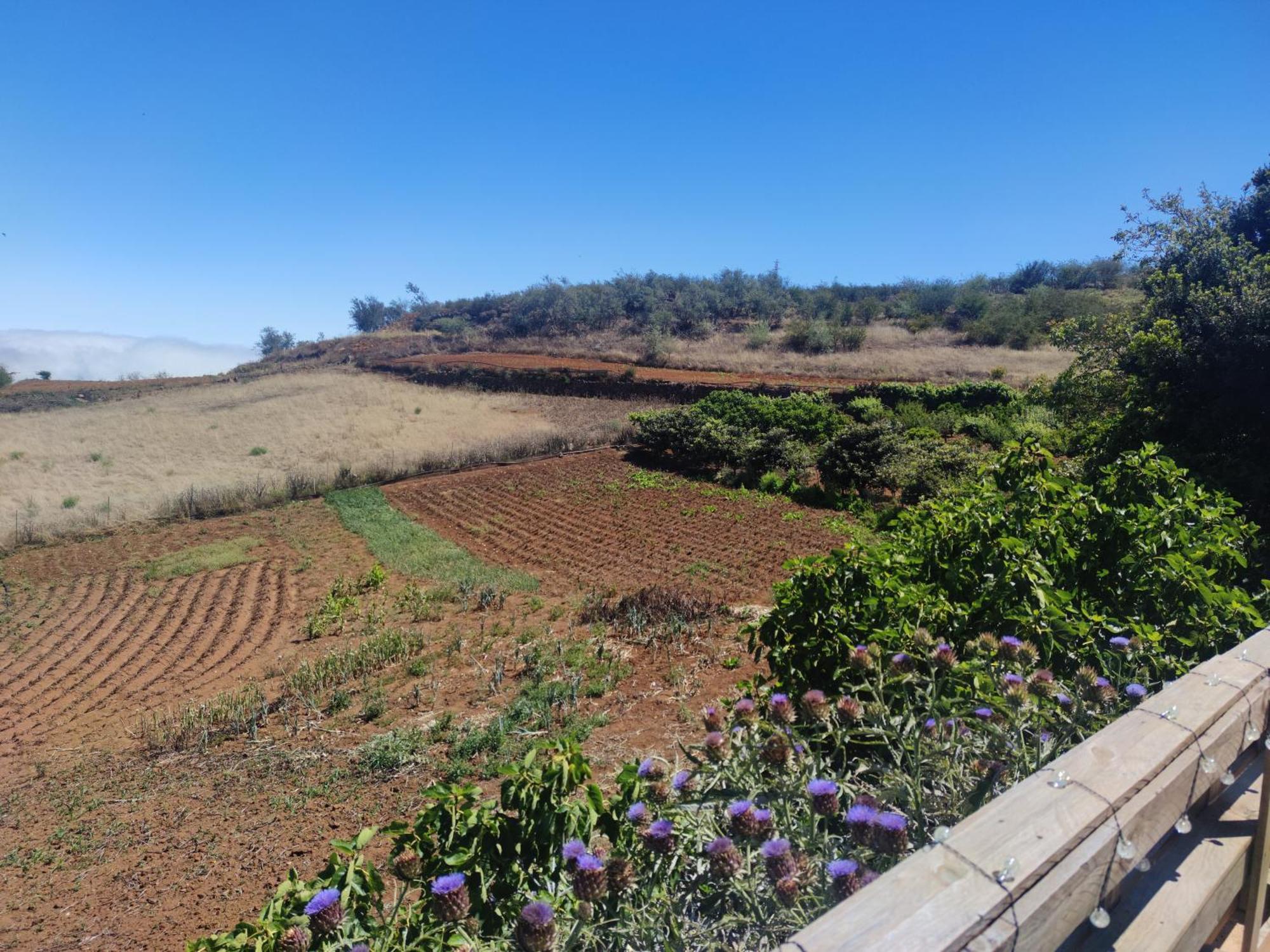 Finca El Cercadillo Gáldar Екстериор снимка